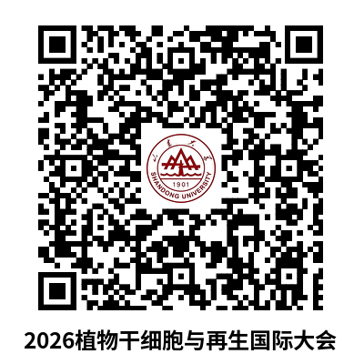 Payment QR Code